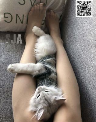 妹妹恋人 电影